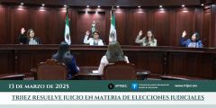 TRIJEZ RESUELVE JUICIO EN MATERIA DE ELECCIONES JUDICIALES