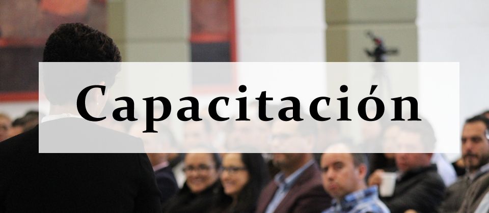 Tema 07 - Precampaña, Campaña y Justicia Intrapartidaria