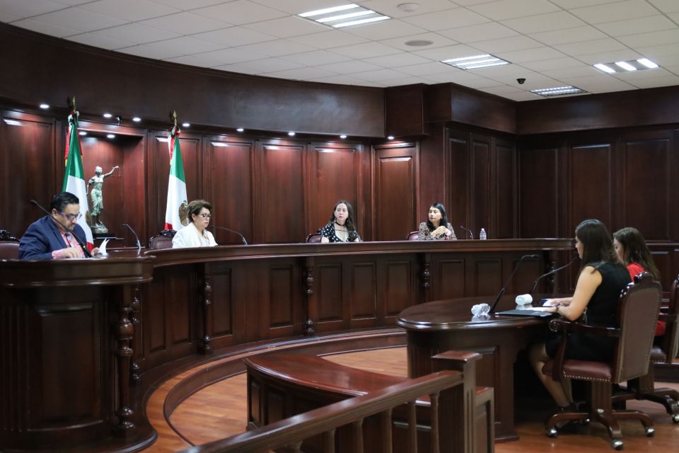 EL TRIJEZ RESUELVE JUICIO EN FAVOR DE GRUPOS VULNERABLES