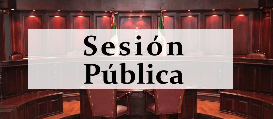 Sesión Pública - 28 de abril de 2025