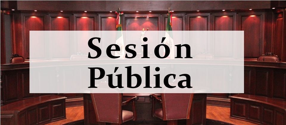 Sesión Pública Virtual - 30 de mayo de 2024
