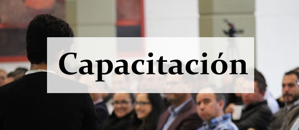 PROGRAMA DE CAPACITACIÓN INTERNA PROCESO ELECTORAL 2017-2018