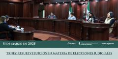 TRIJEZ RESUELVE JUICIOS EN MATERIA DE ELECCIONES JUDICIALES