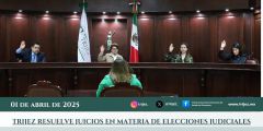 TRIJEZ RESUELVE JUICIOS EN MATERIA DE ELECCIONES JUDICIALES